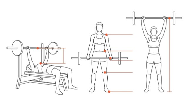 Body measurement points